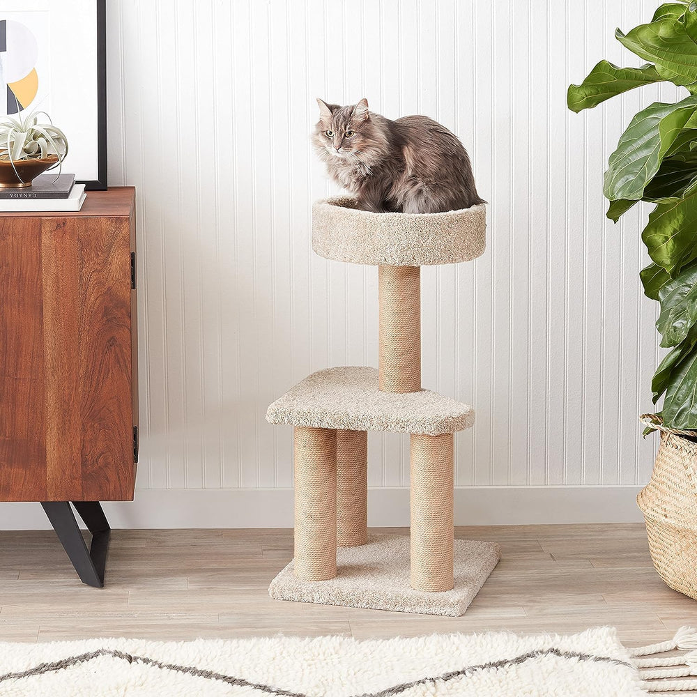 Amazon Basics cat tree round top platform with raised edges for cozy naps.