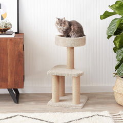 Amazon Basics cat tree round top platform with raised edges for cozy naps.