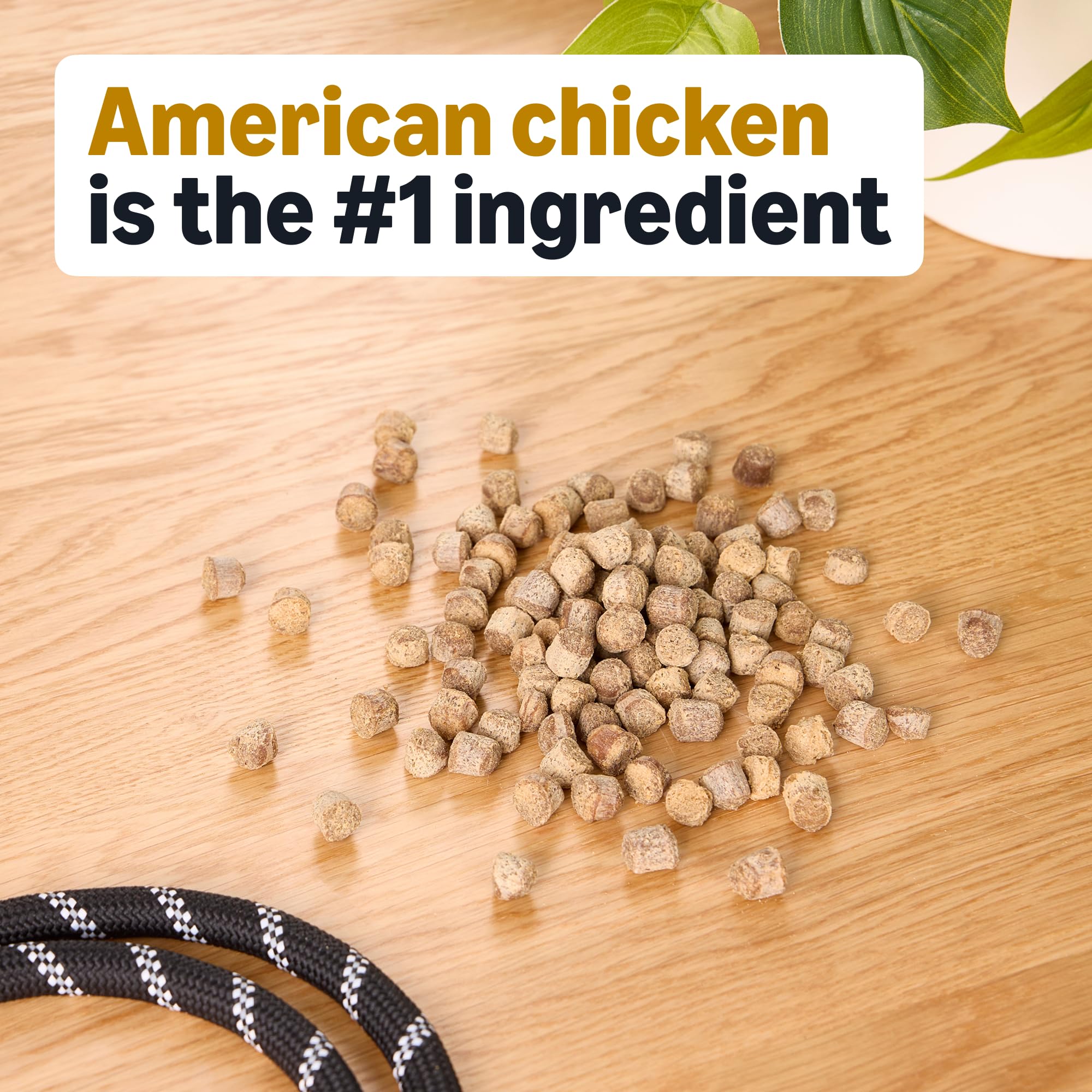 Close-up of Amazon Basics chicken training treats, small bites for quick rewards.