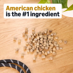 Close-up of Amazon Basics chicken training treats, small bites for quick rewards.
