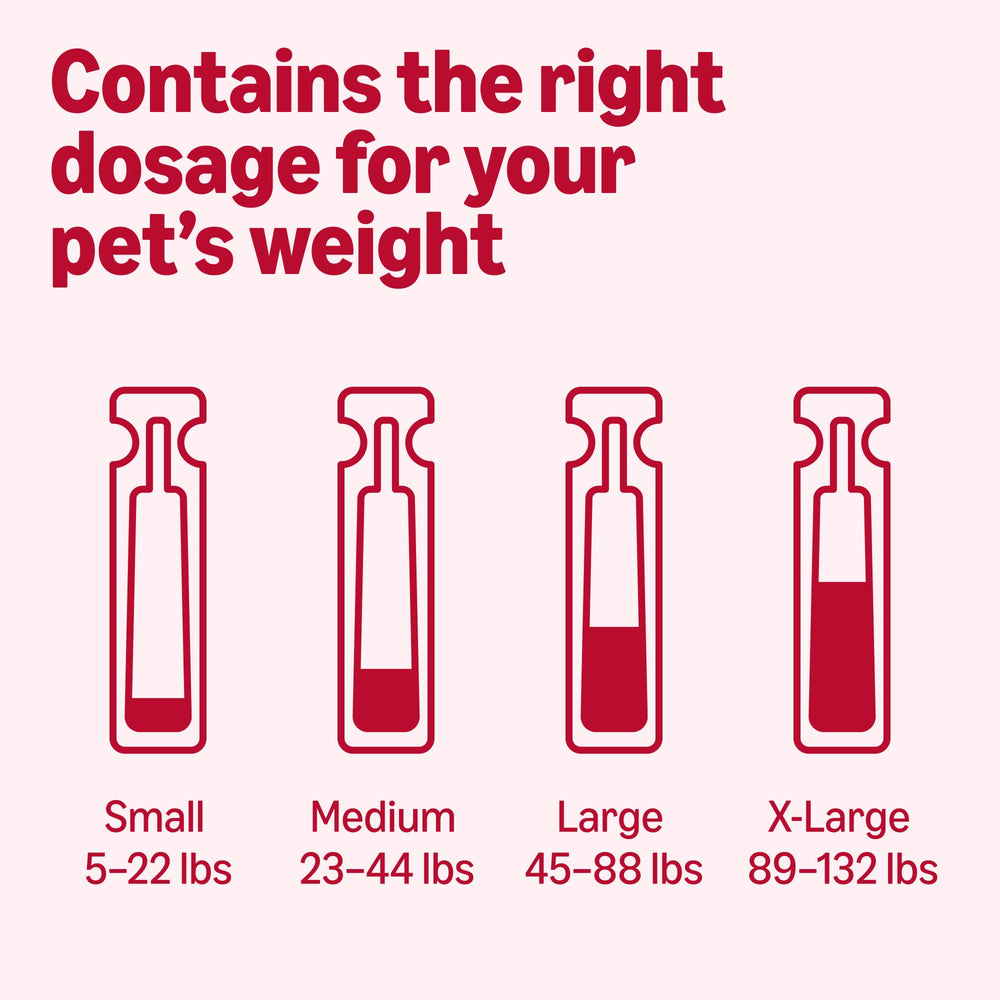 Deer ticks and Lyme disease: treatment helps reduce exposure risk