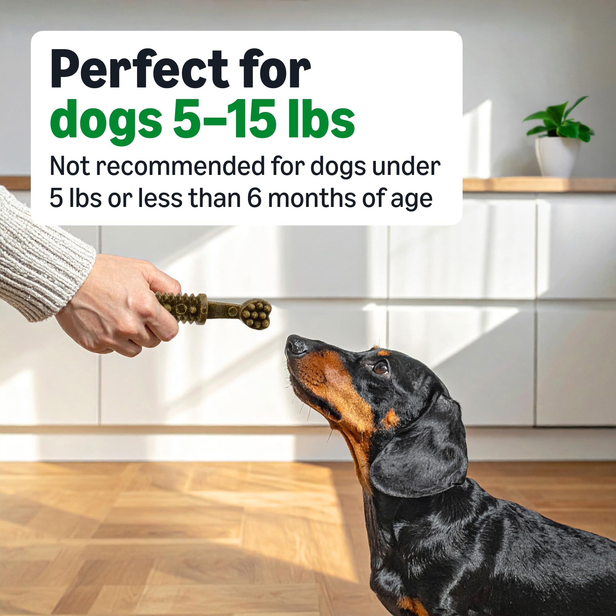 Grain-free Amazon Basics chews suitable for dogs with sensitivities