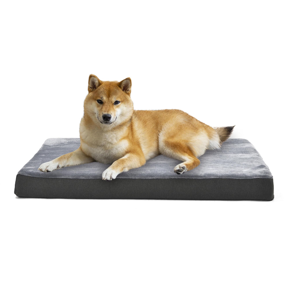 Amazon Basics dog bed with cooling gel foam for cooler, comfortable naps