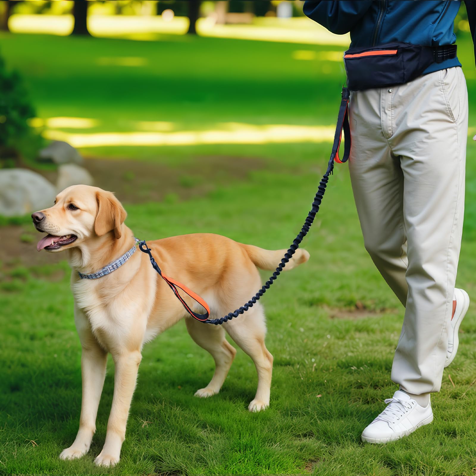 Amazon Basics up to 150 lb dogs support with a comfortable hands-free design