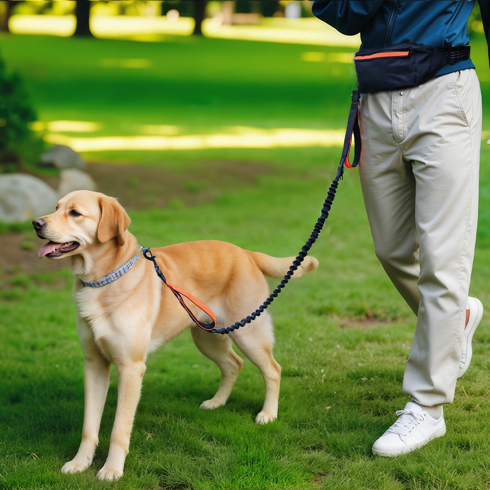 Amazon Basics up to 150 lb dogs support with a comfortable hands-free design