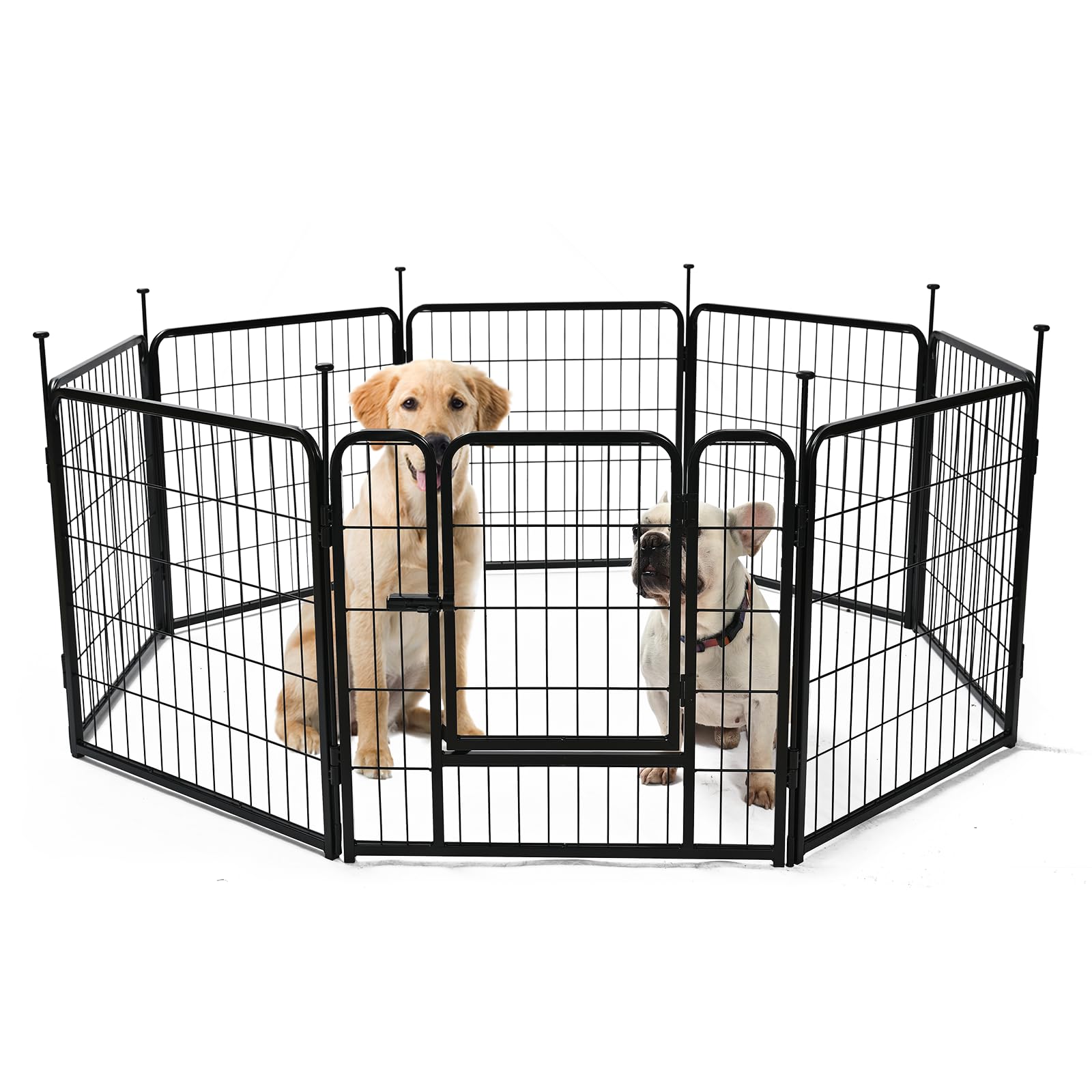 Amazon Basics playpen door latch keeps pets safely contained during play.