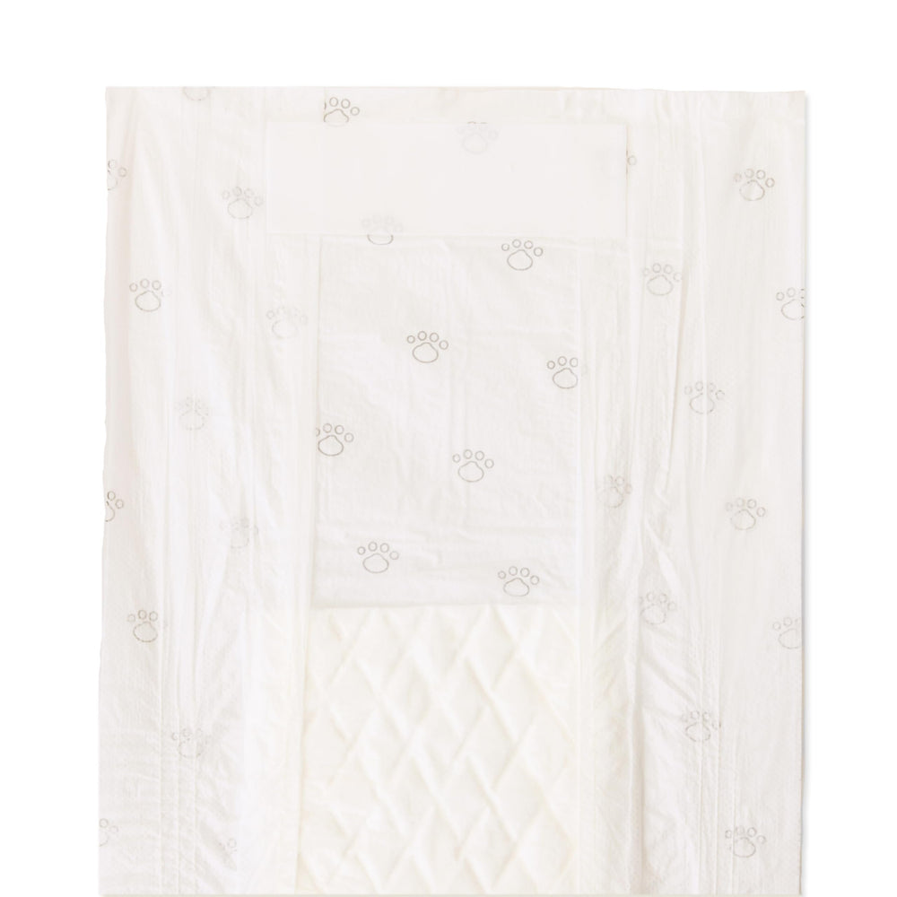 Amazon Basics dog wrap features a clear wetness indicator for easy changes.