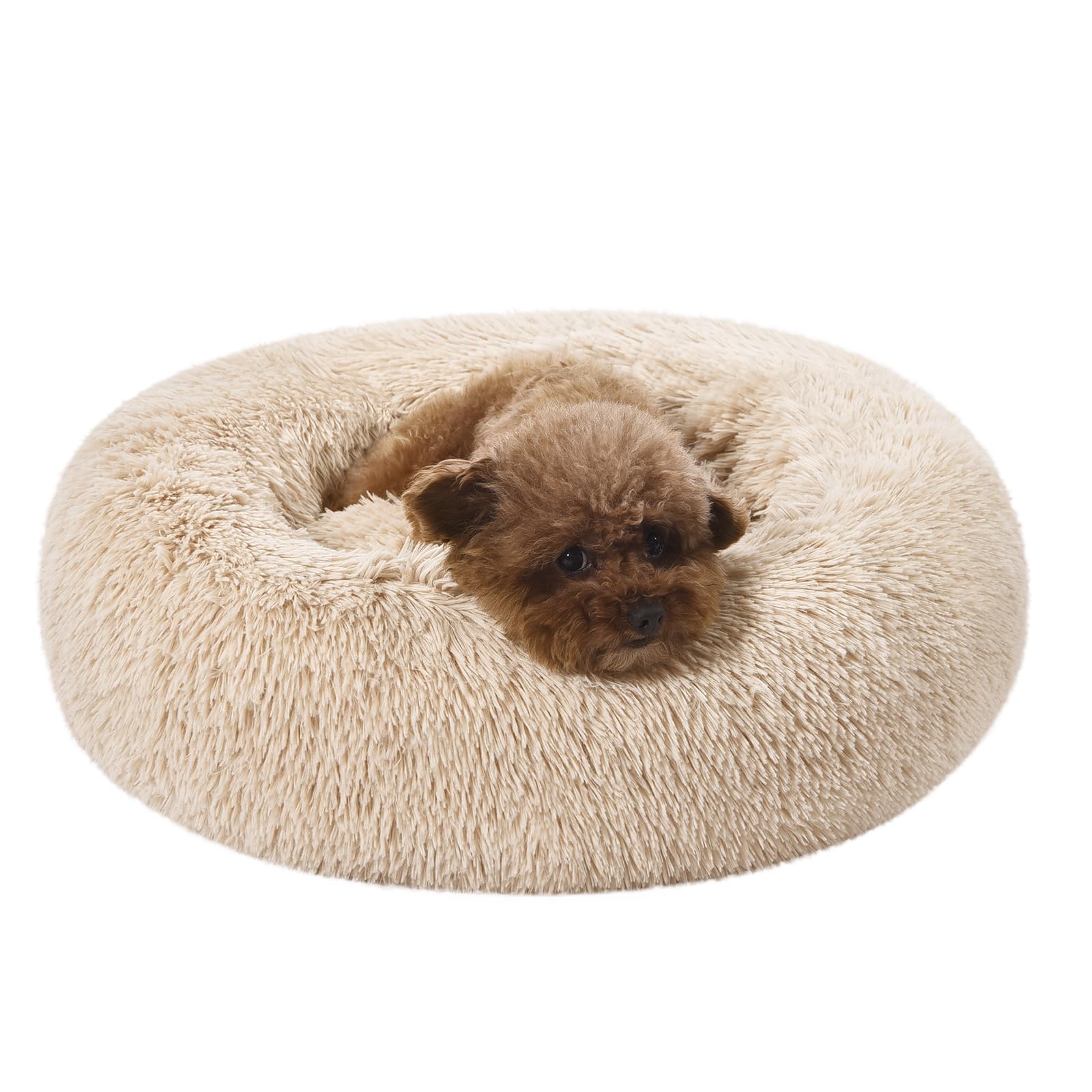 Amazon Basics 23x23 beige donut bed fits calm spaces.