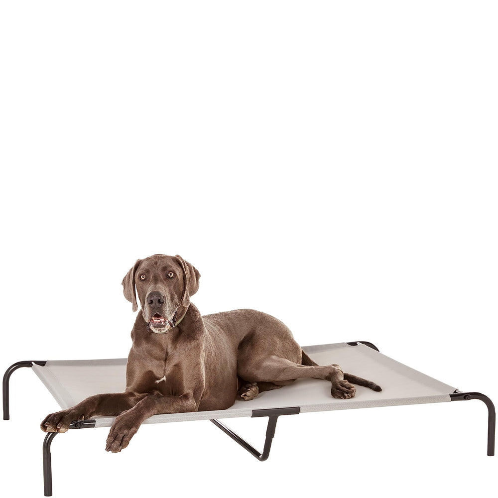 Amazon Basics elevated pet bed with a grey metal frame providing sturdy support for large dogs.
