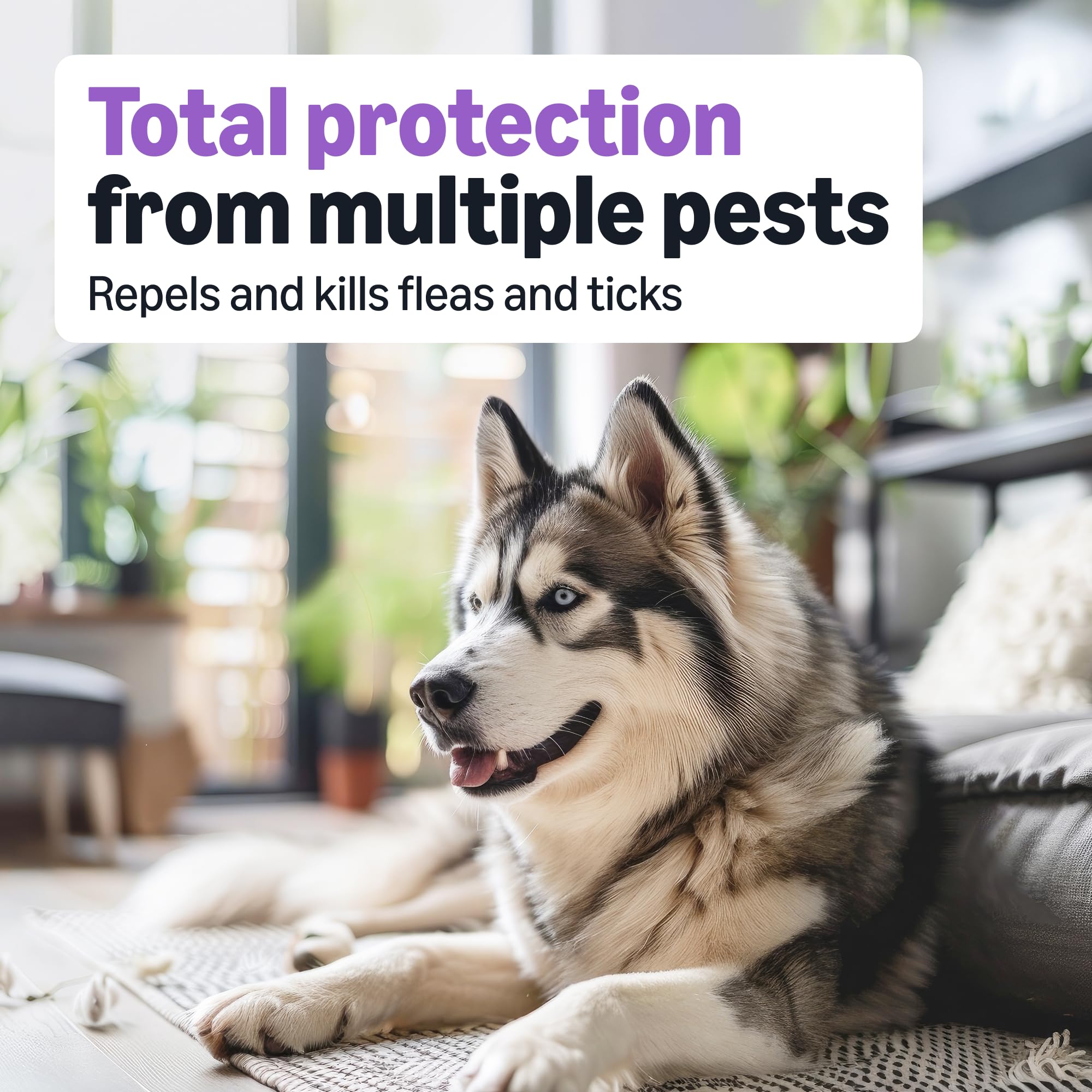 Amazon Basics uses fipronil and (S)-methoprene to protect against fleas and larvae.