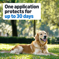 Provides up to 30 days of protection per dose.