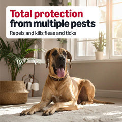 Amazon Basics flea-tick treatment bottle label with dosage guidance
