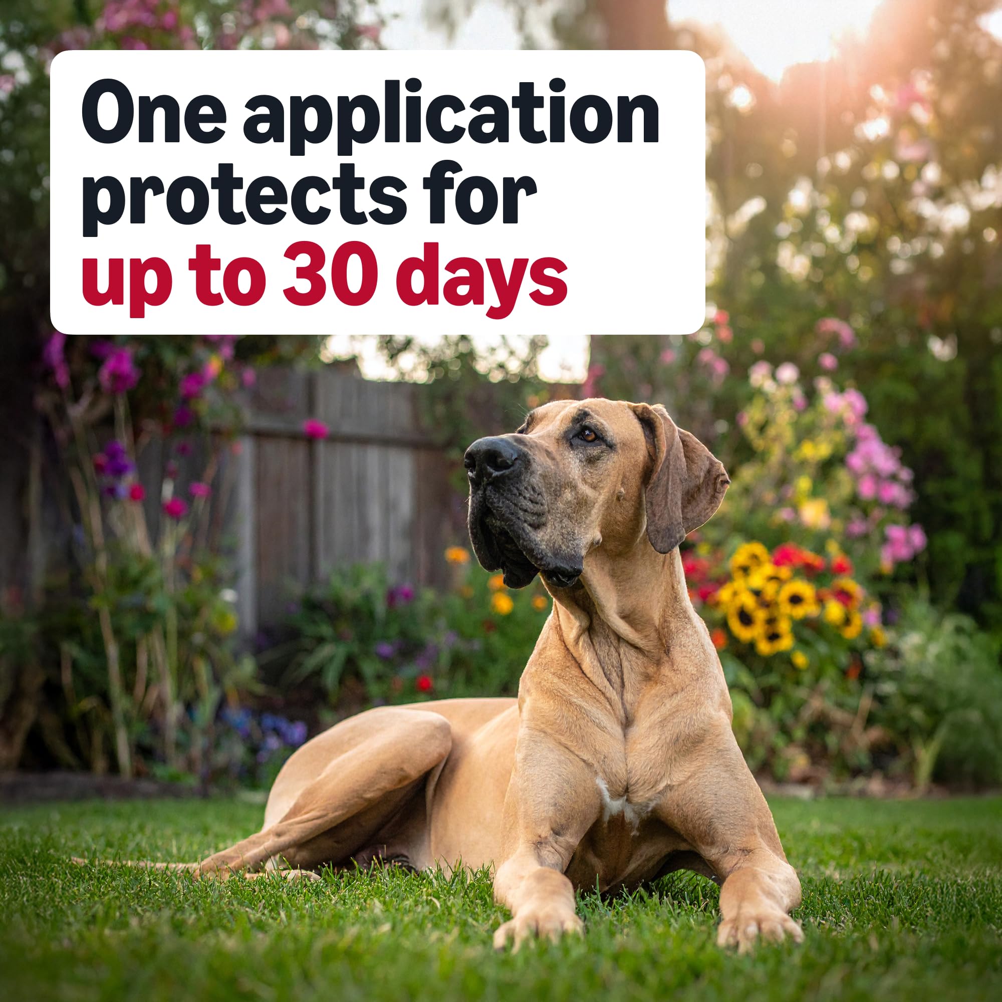 Packaging highlights 30 days of protection per dose for large breeds.