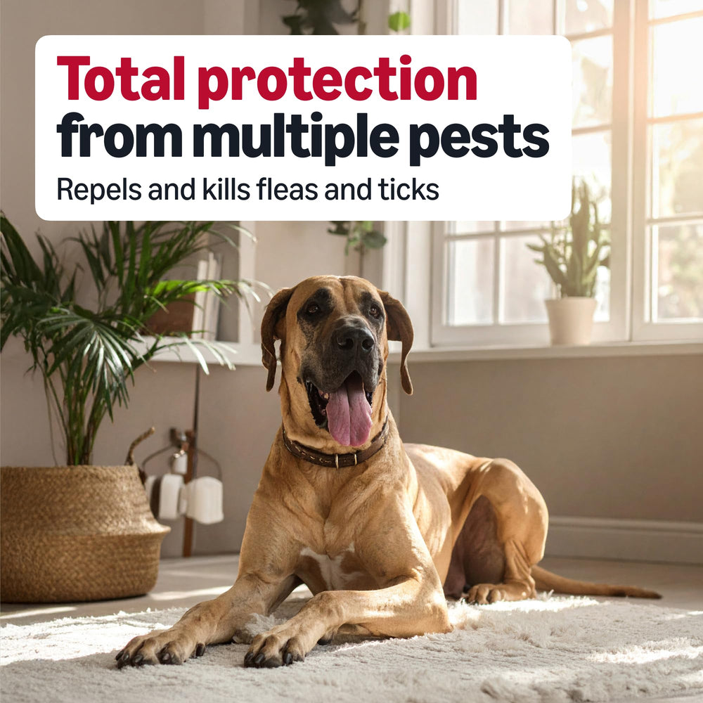 XL dog topical from Amazon Basics demonstrates waterproof protection after 24 hours.