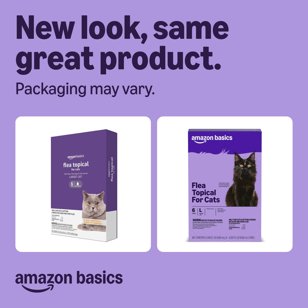 Amazon Basics flea topical dropper application on back of cat for easy direct use