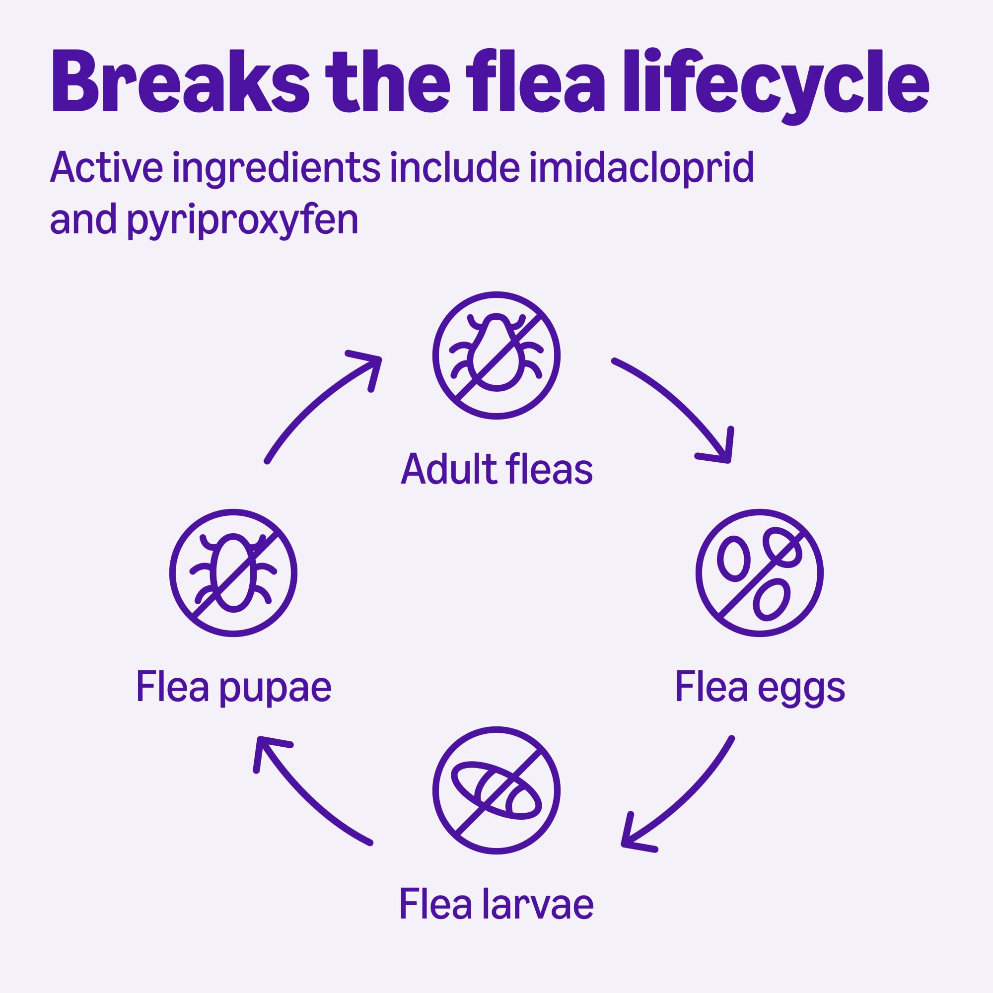 Amazon Basics quick action within 12 hours visual for flea relief