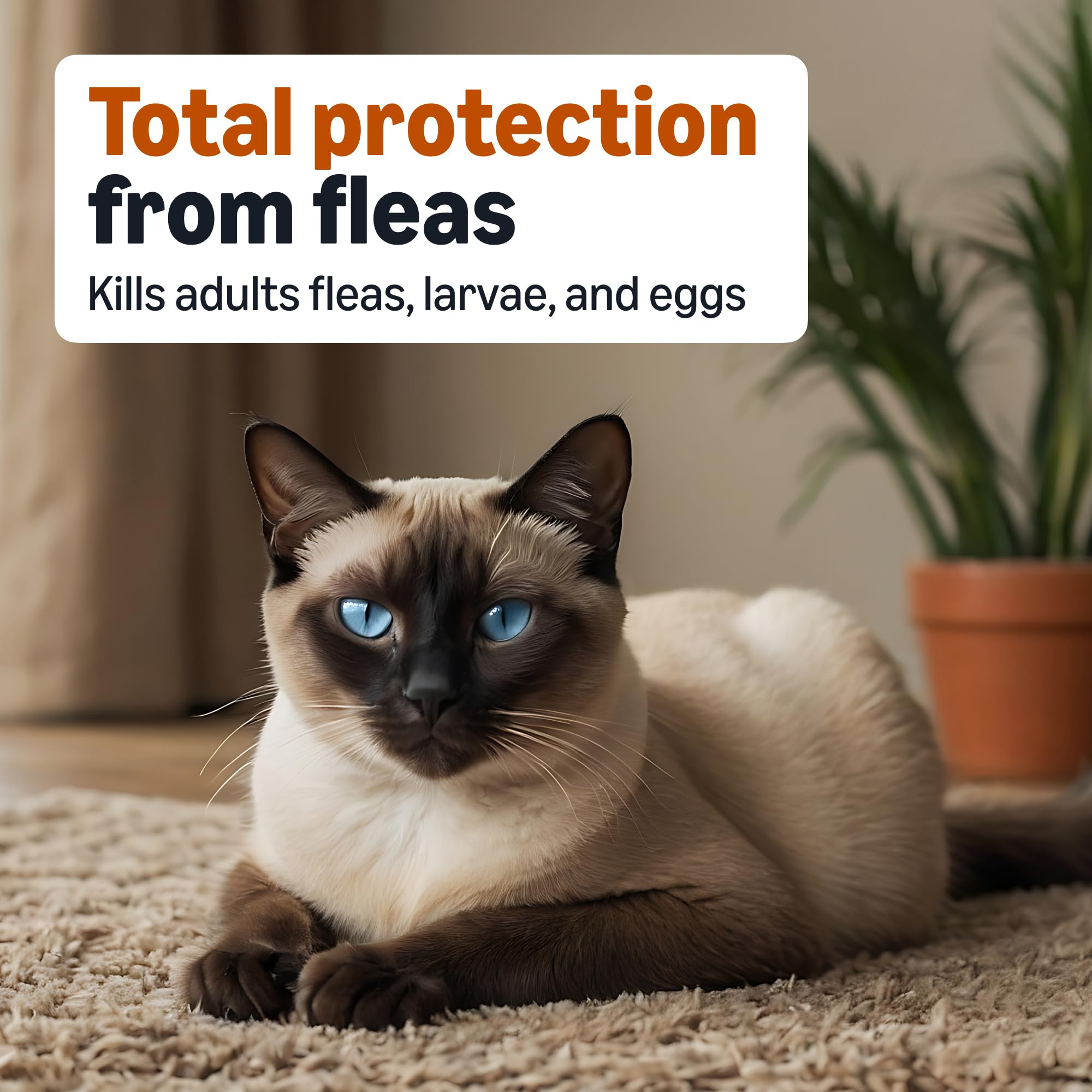 Amazon Basics six-dose flea treatment package shown for monthly use.