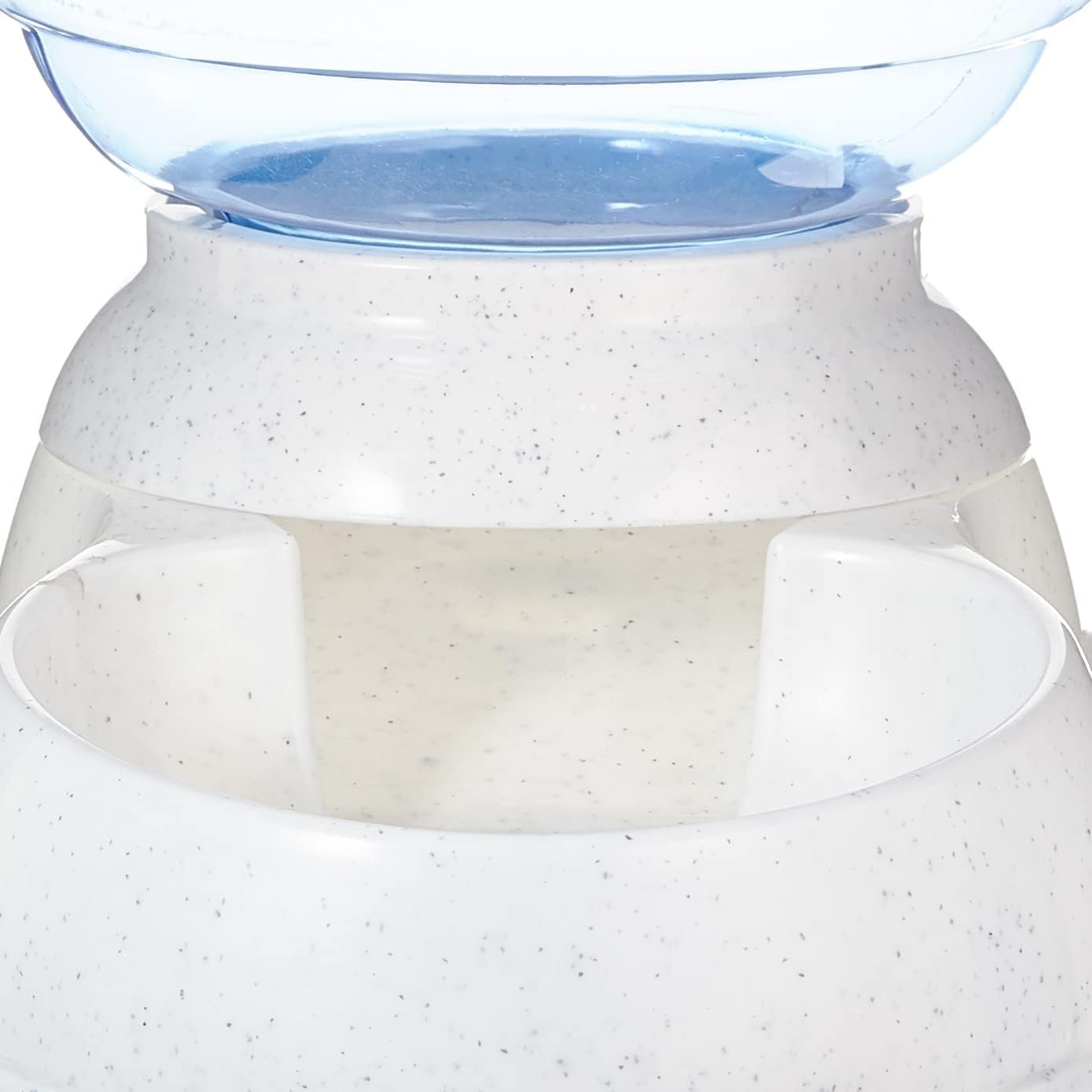 Amazon Basics 6-pound capacity keeps kibble available without frequent refills.