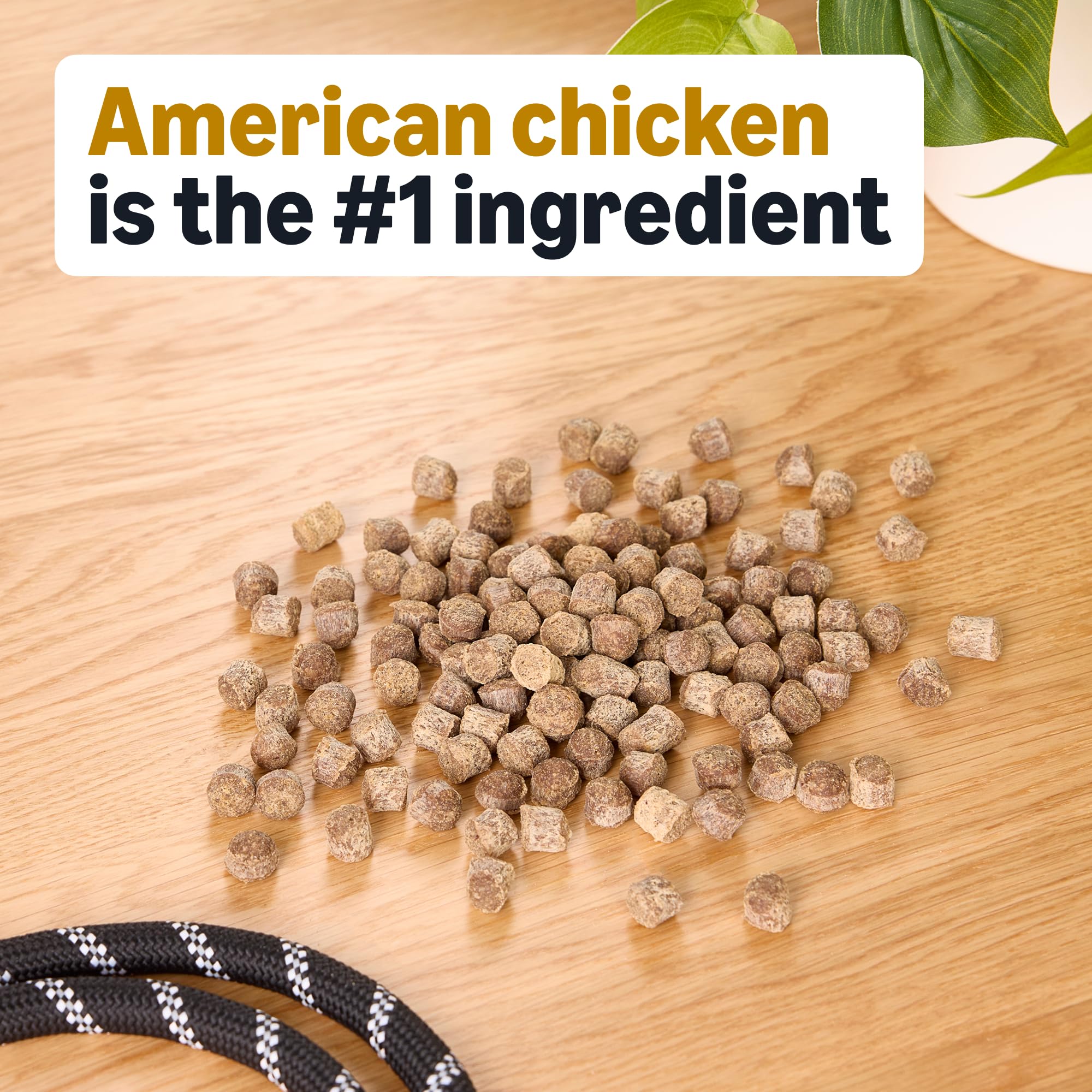 Amazon Basics hip and joint training treats close-up shows kibble texture ideal for rewards.