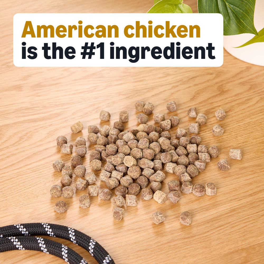 Amazon Basics hip and joint training treats close-up shows kibble texture ideal for rewards.