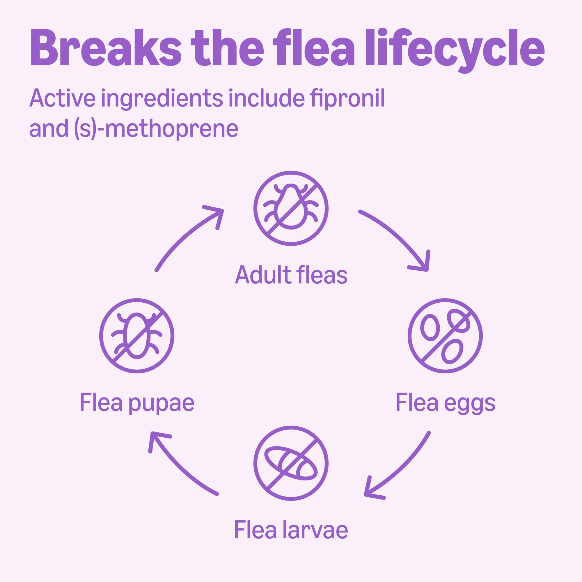 Amazon Basics kills flea eggs and larvae with active ingredients.