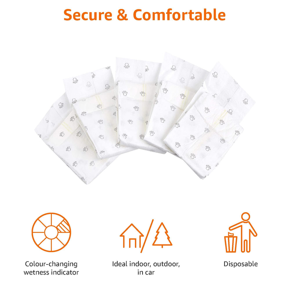 Amazon Basics male dog diapers product image emphasizes absorbent core.