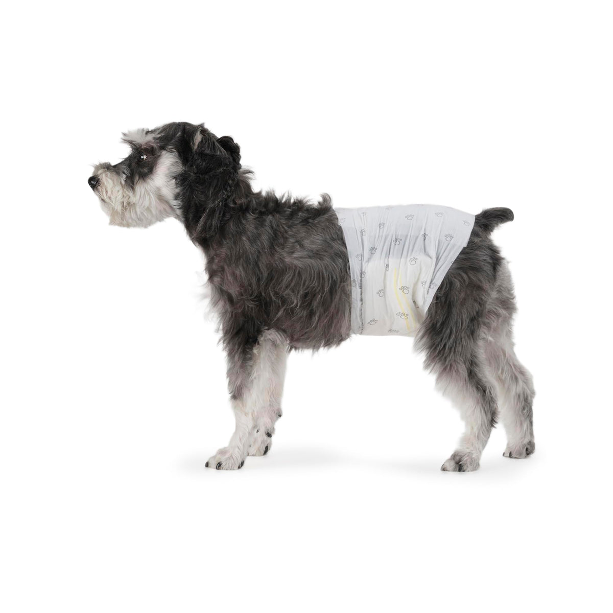 Amazon Basics male dog diapers medium pack with secure fit and leak protection