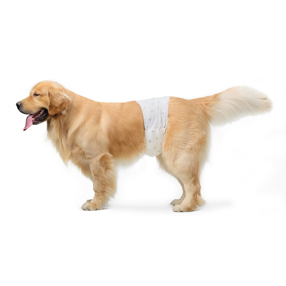 Amazon Basics male dog diapers pack shot highlights secure large-fit design for comfort.