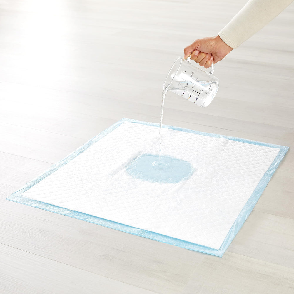 Amazon Basics pee pad in car setup supports travel training.