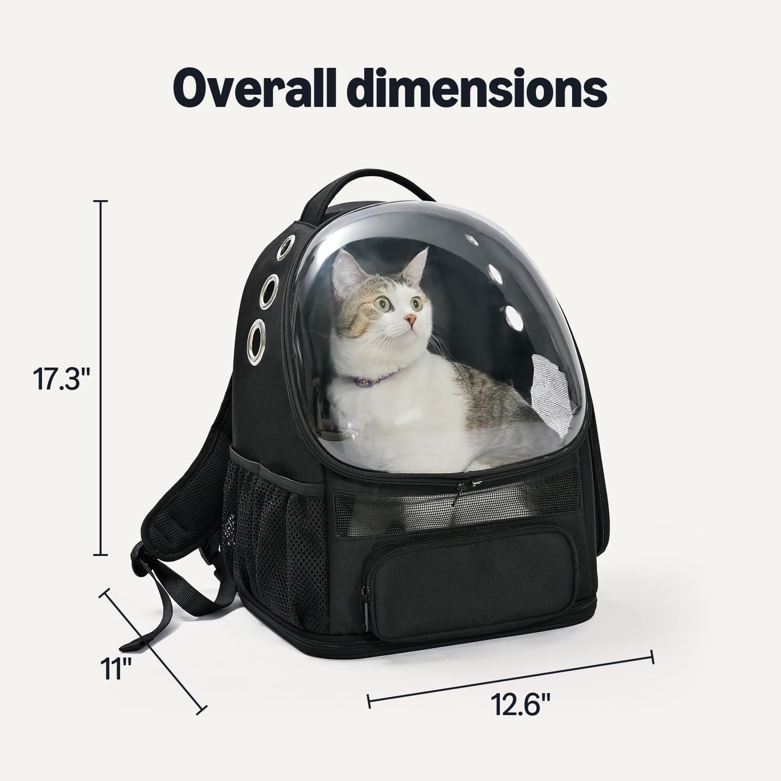 Amazon Basics carrier backpack shows breathable mesh panels for comfortable airflow on trips.