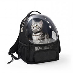 Amazon Basics pet carrier backpack with bubble window lets small pets observe surroundings during travel.