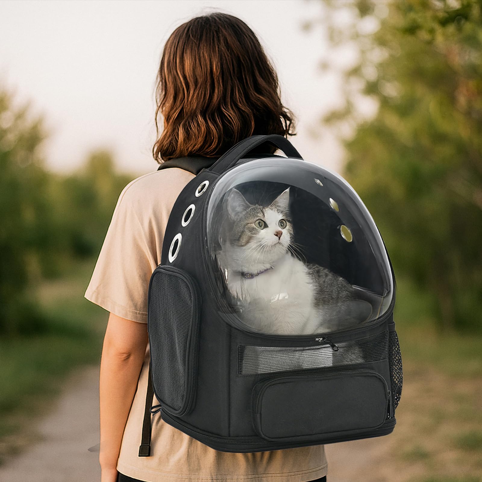 Amazon Basics pet carrier fits small cats and dogs up to 17 inches tall.