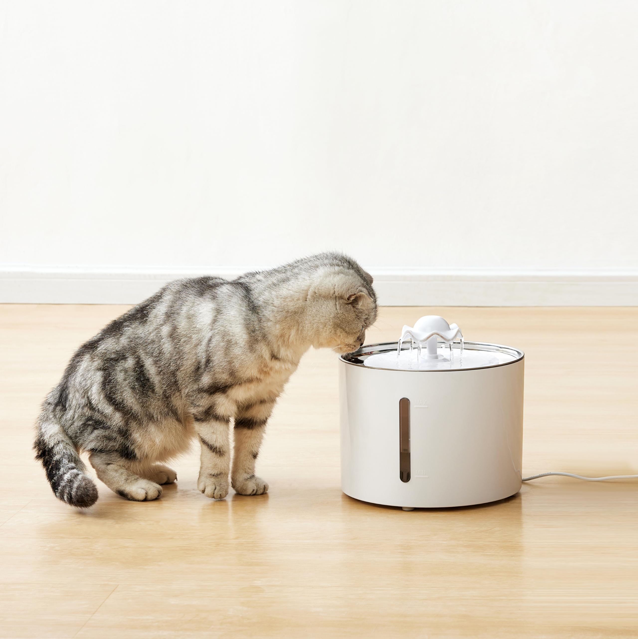Stainless steel lid on Amazon Basics fountain for easy cleaning