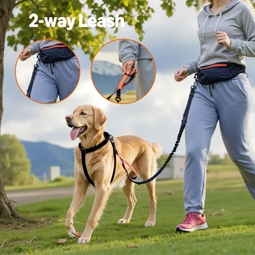Amazon Basics running bag keeps keys, treats, and bags within easy reach