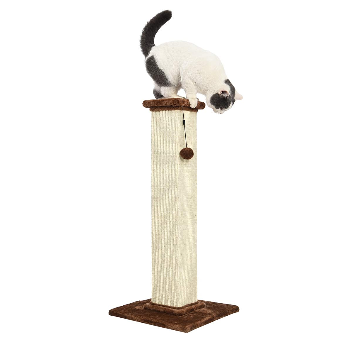 Amazon Basics brown scratching post fits into modern interiors while redirecting scratching.