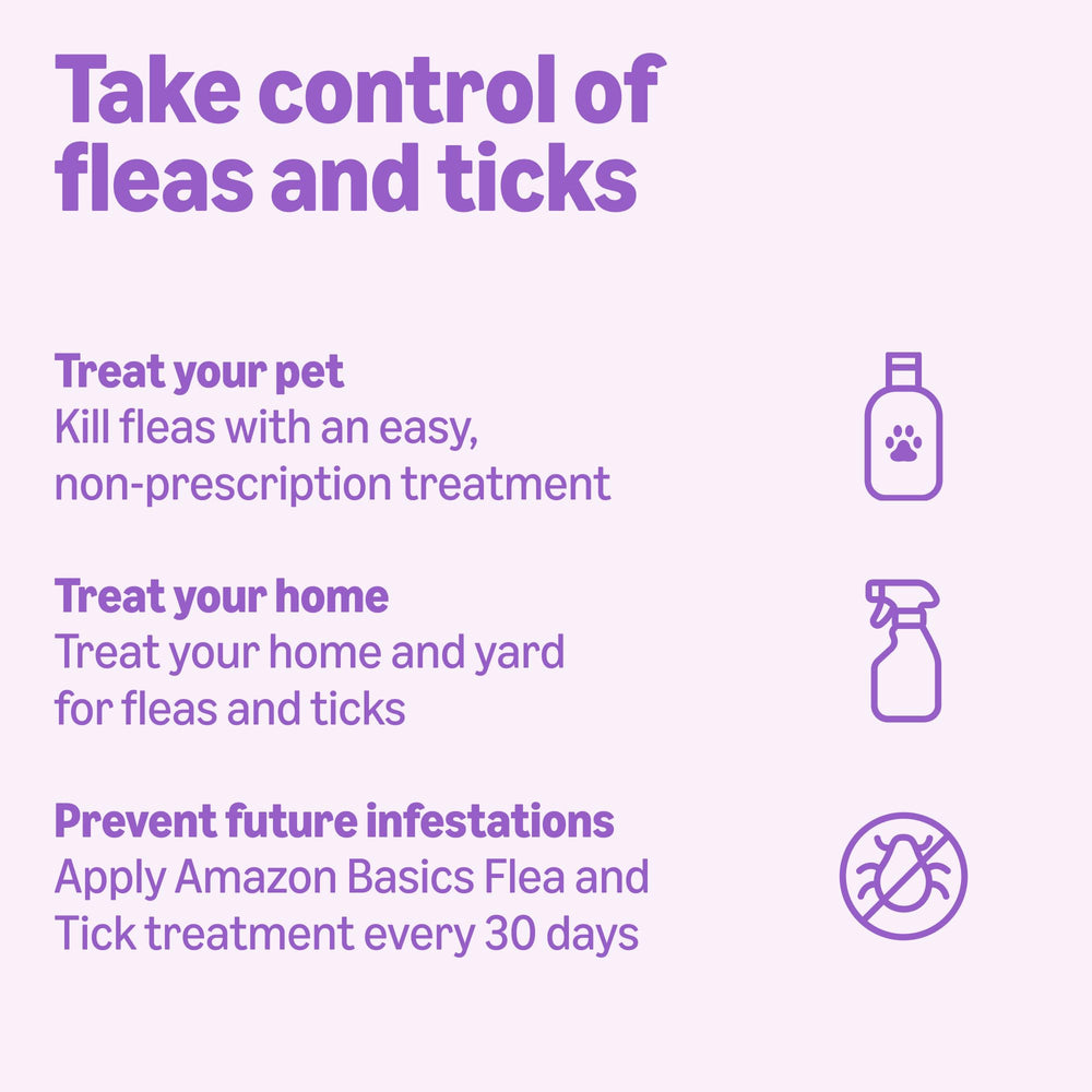 Six-dose box of Amazon Basics flea treatment.