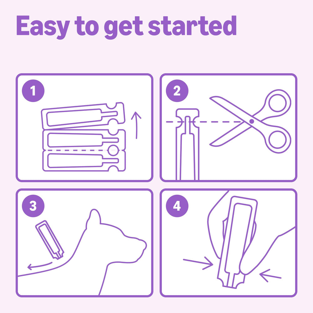 Stable, non-expiring formula from Amazon Basics for long-term storage.
