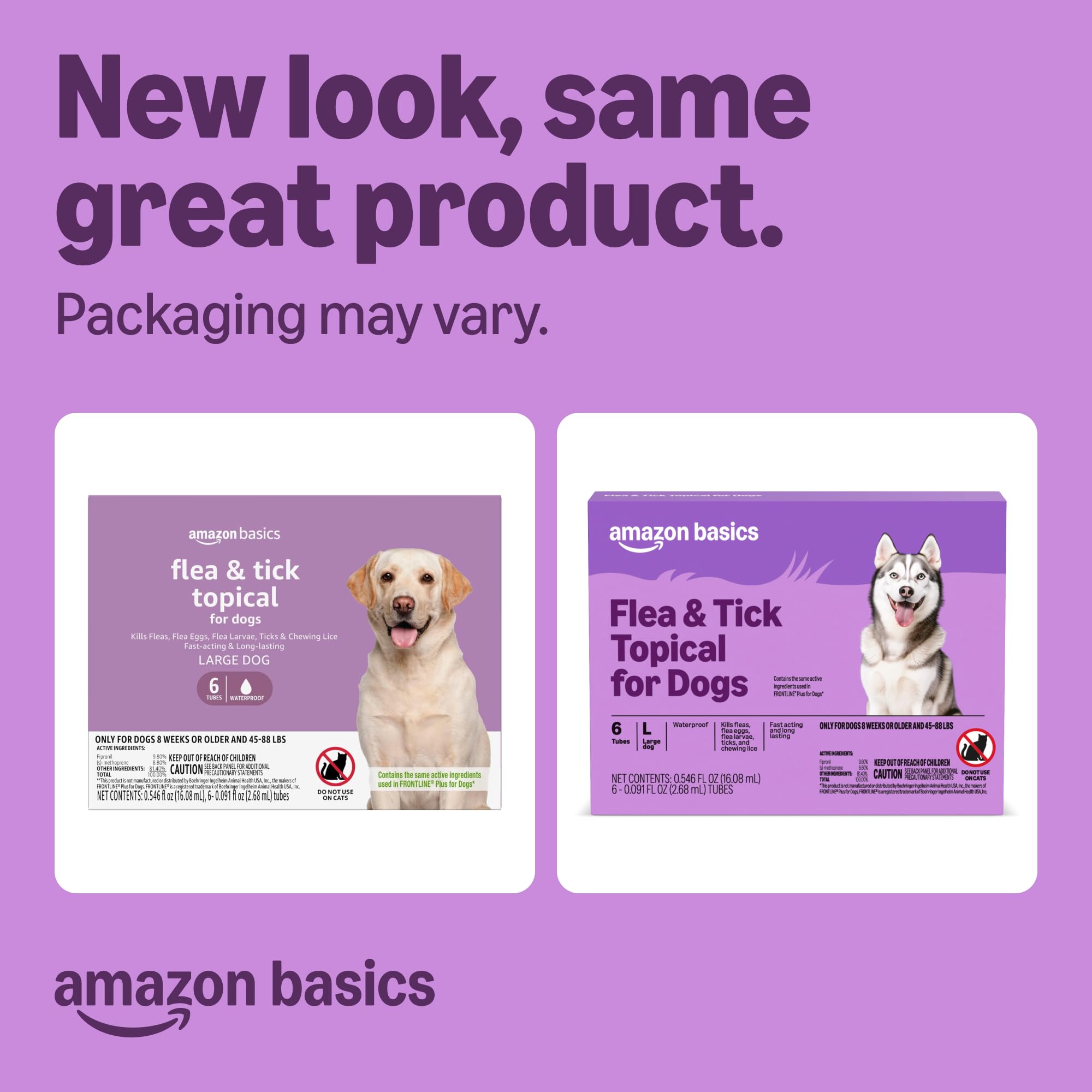 Amazon Basics topical treatment applied to a large dog's back.