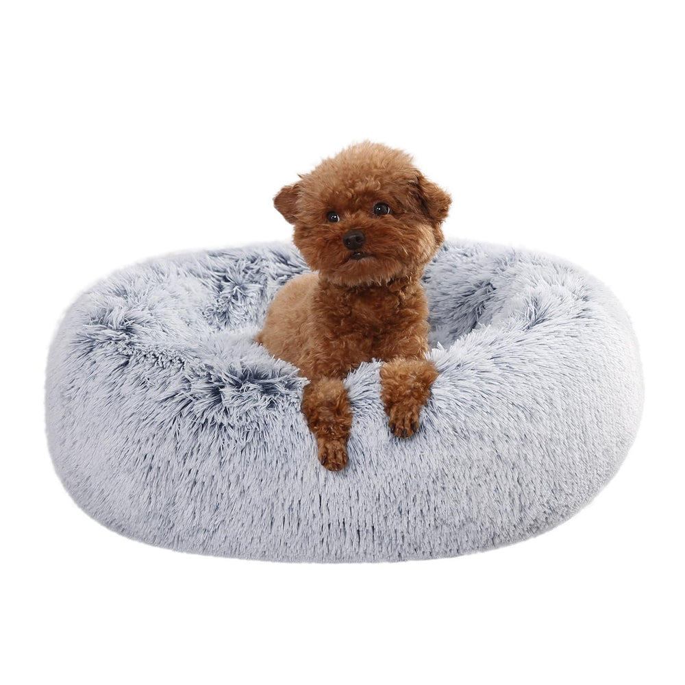Amazon Basics 23x23 inch pet bed shown in cozy setup