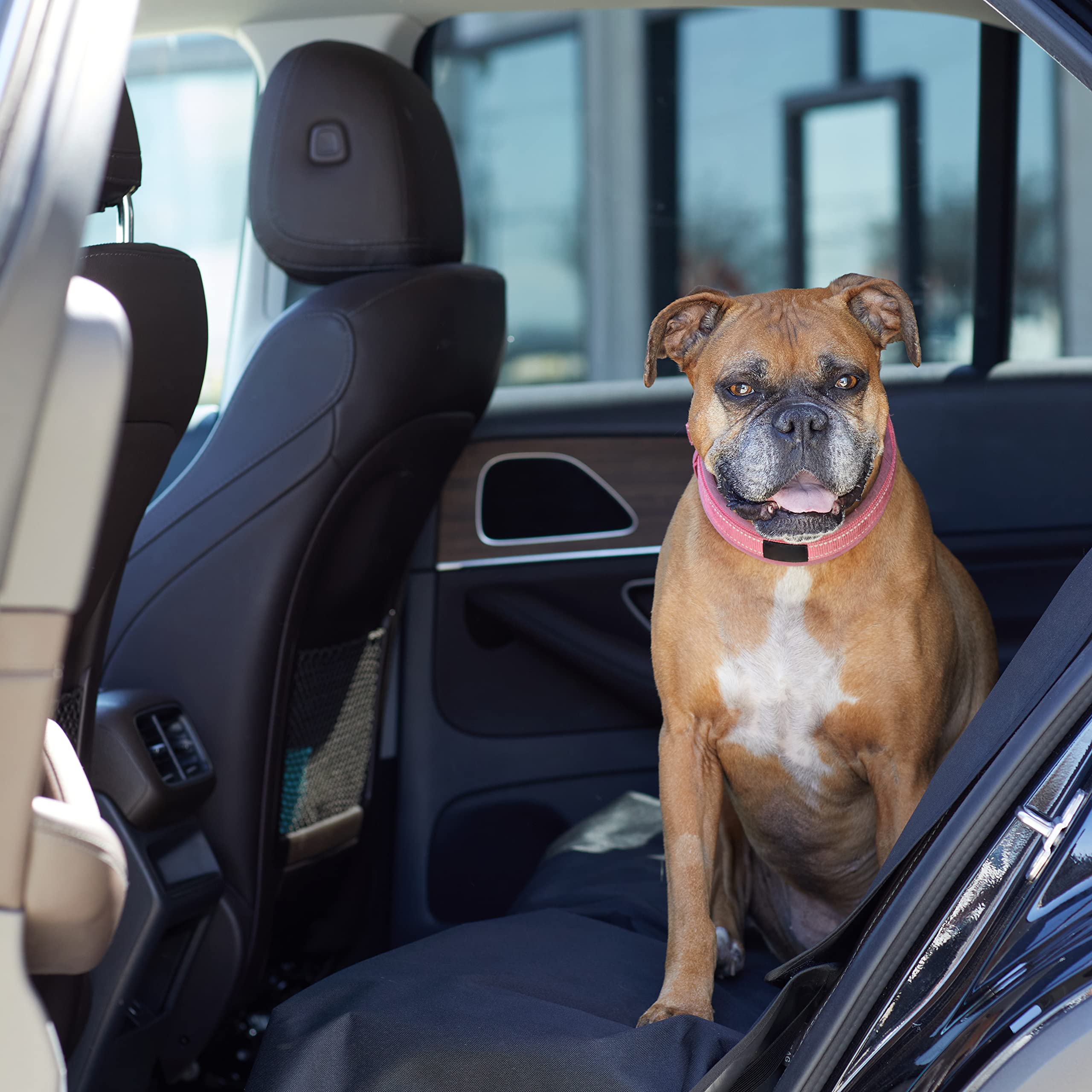 Amazon Basics seat cover with adjustment straps for easy fit.