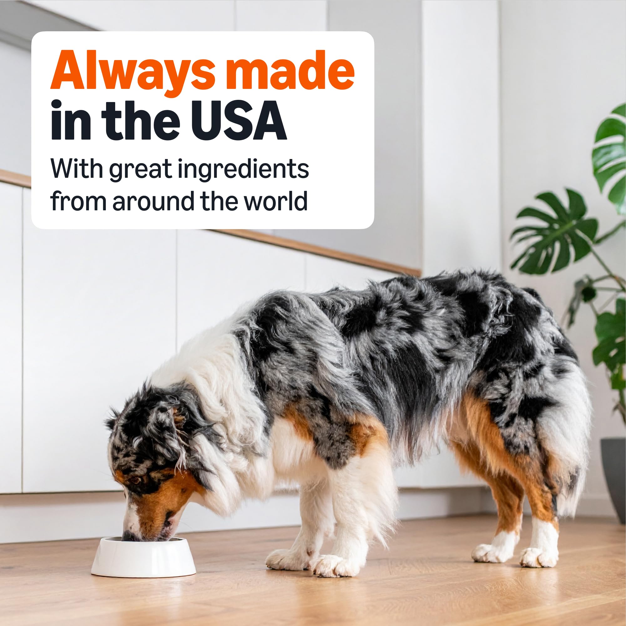 Amazon Basics dog food meets AAFCO maintenance guidelines for adult dogs