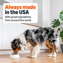Amazon Basics dog food meets AAFCO maintenance guidelines for adult dogs
