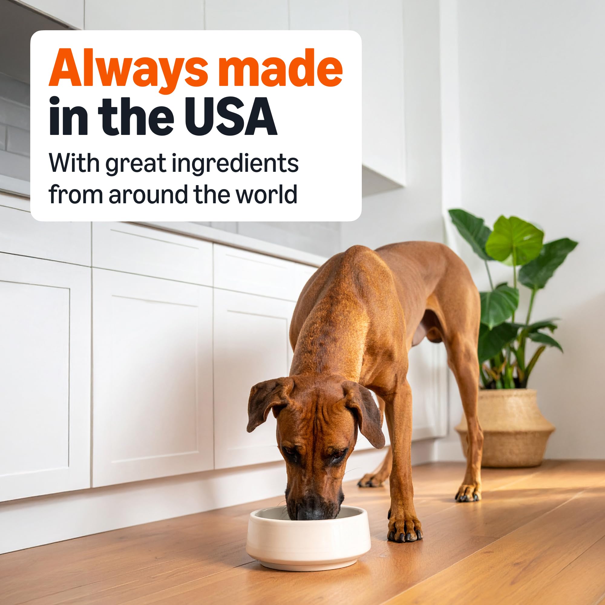 Can text highlights complete and balanced nutrition for adult dogs.