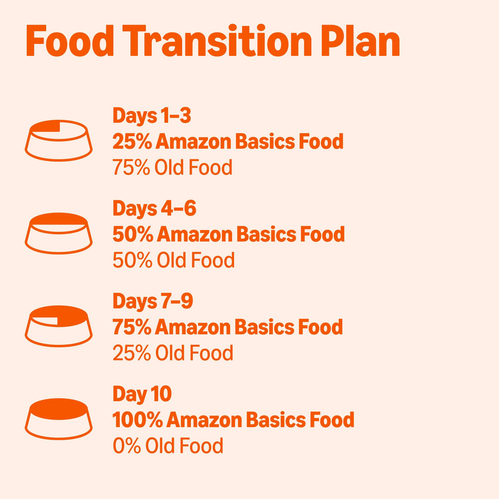 Happy dog enjoying Amazon Basics wet dog food meal