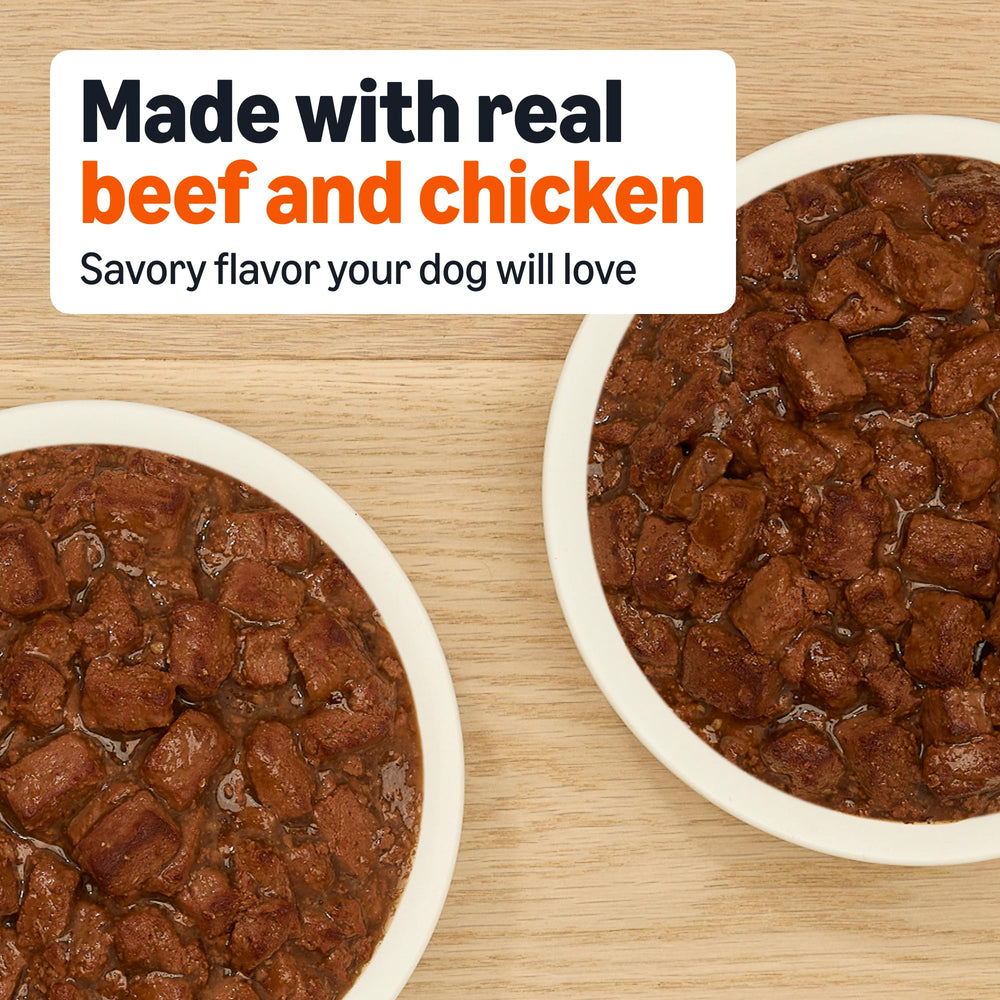 Amazon Basics wet dog food ny strip front pack can highlights variety for adult dogs