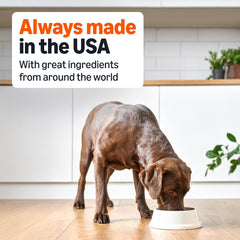 Amazon Basics wet dog food real chicken and beef texture closeup, appealing protein.