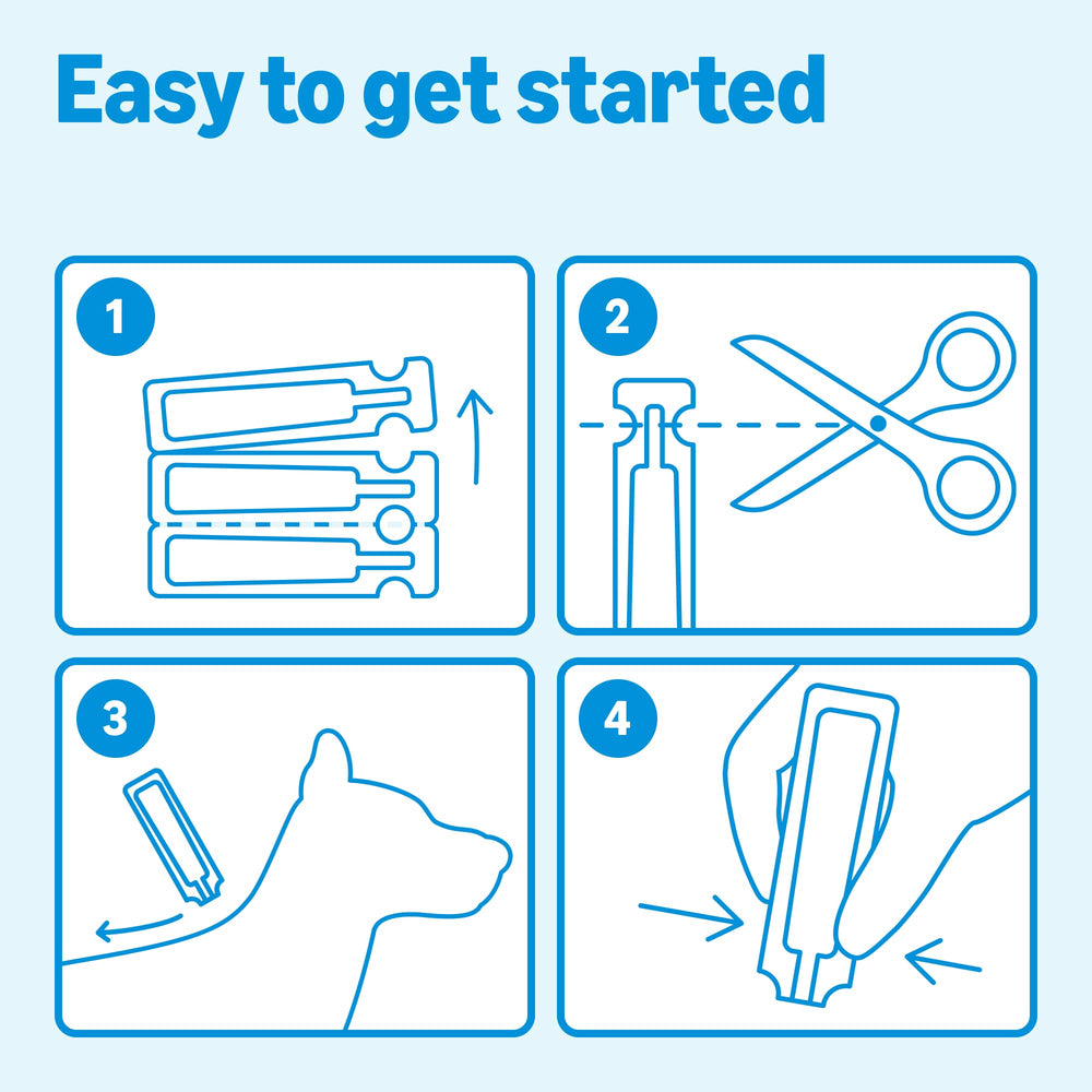 Amazon Basics 4-dose pack image suggesting value and convenience for pet guardians.