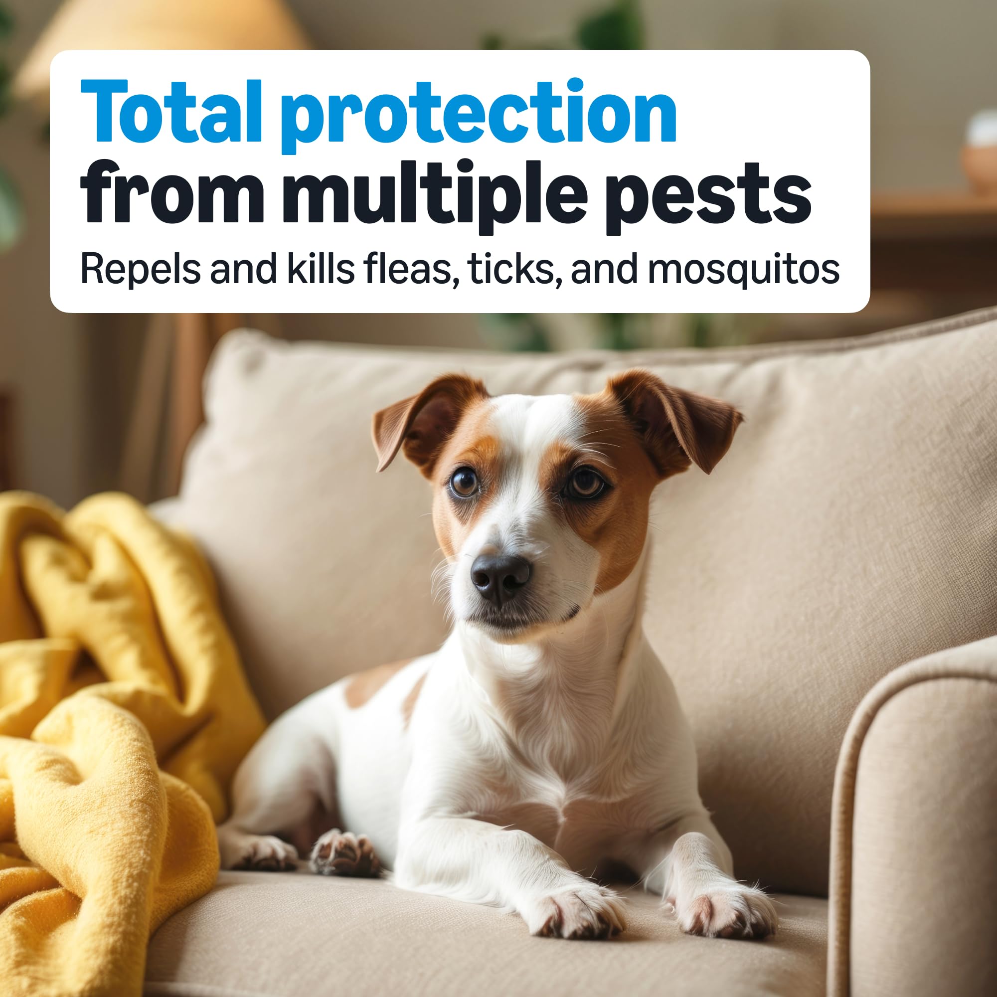 Amazon Basics flea tick mosquito action close-up highlights active ingredients and fast response.