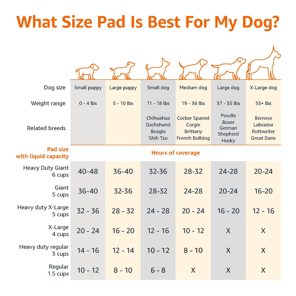 Amazon Basics pad with built-in attractant aiding potty training