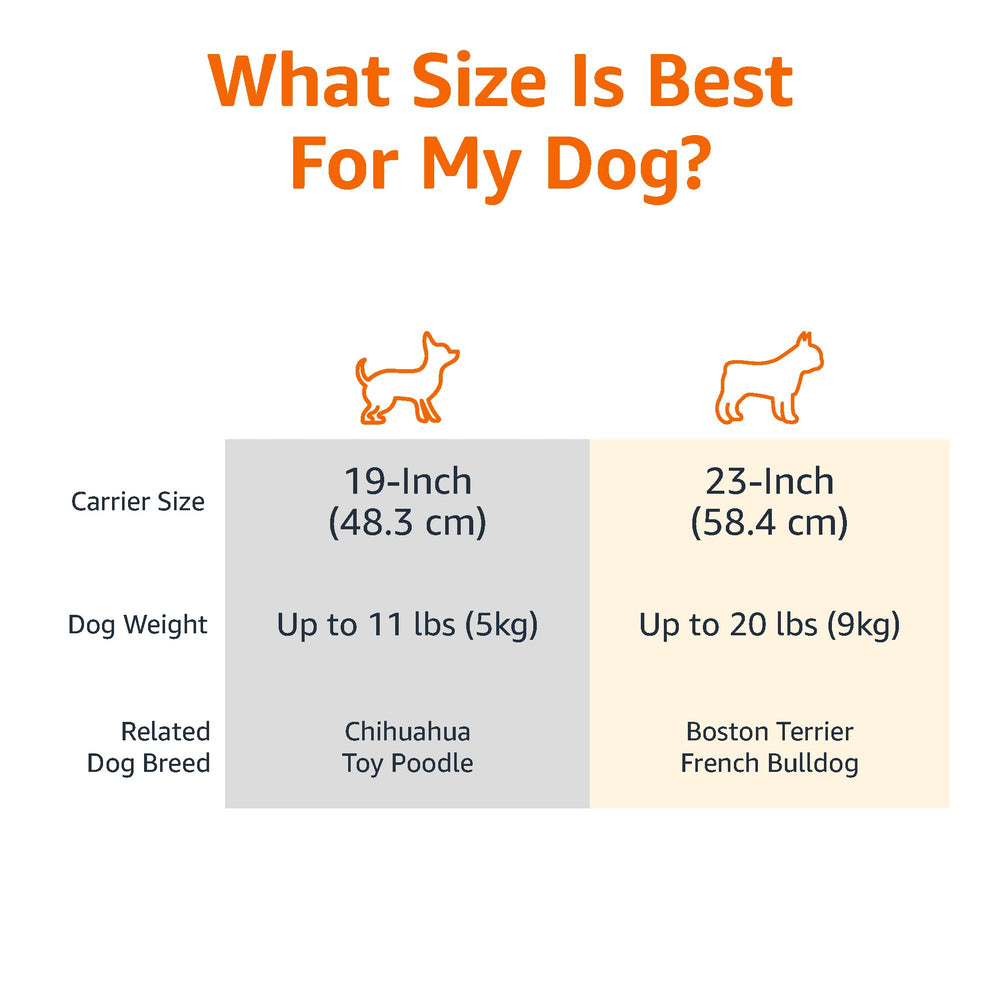 Amazon Basics pet carrier with durable plastic shell and steel doors for long-lasting use